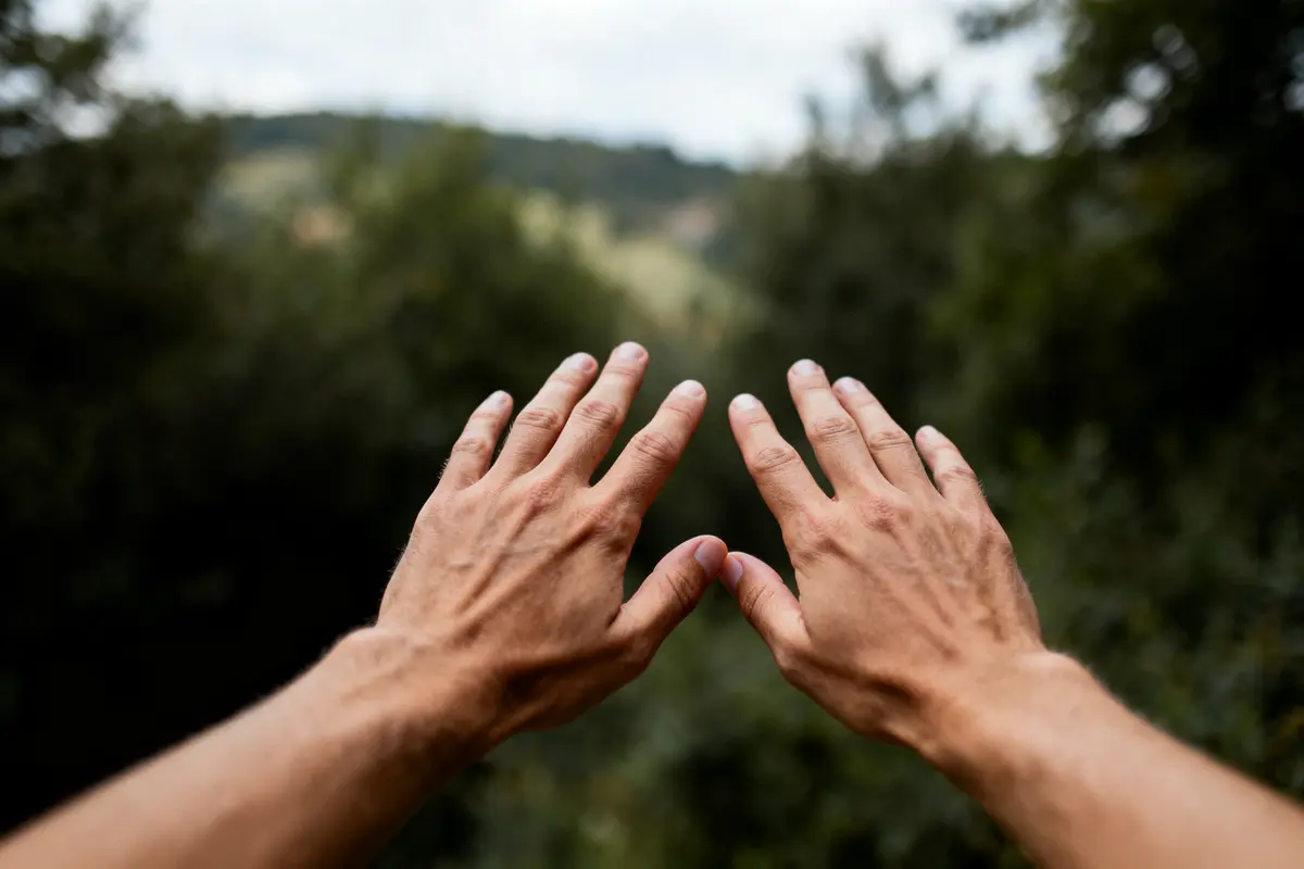 Deux mains tendues vers une forêt floue en arrière-plan, ciel légèrement nuageux.
